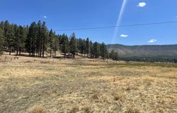 Tbd County Road N2275, Nutrioso, AZ 85932
