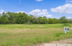Parcel 1 Leaf Lane, Freeport, MI 49325