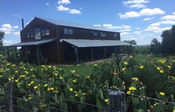 9101 County Road 123, Cross Plains, TX 76443