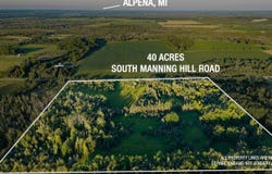 S Manning Hill Road, Lachine, MI 49753