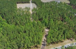 11.42 Acres Edge Forest Way, Pace, FL 32571