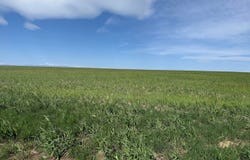 1 TBD FFD25-0005 LotA CO Road 15, Carr, CO 80612