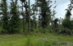 LOT13 DOWLING OAKS, Live Oak, FL 32060