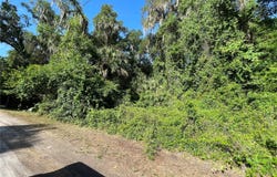 NE 37TH TERRACE, CITRA, FL 32113