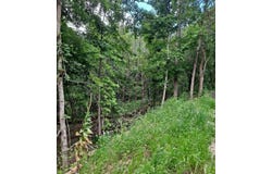 26407 215th Avenue, Delhi, IA 52223