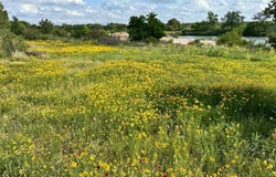 4064 County Road 104, Llano, TX 78643