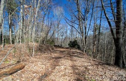 Grapevine Road, Marshall, NC 28753