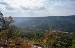2.24 Acres Salolee Circle, South Pittsburg, TN 37380