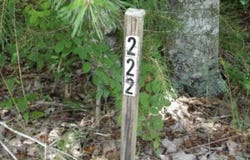 Hilltop Lane lot: 222, Wilder, TN 38589