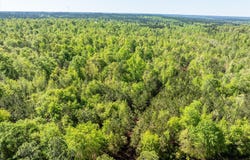 0 WHITAKER Road, Dearing, GA 30808
