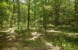 483 Mcintire ln, Mountain View, AR 72560