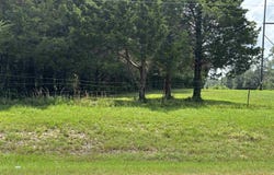 AR Hwy 58, Williford, AR 72482