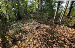 Autumn Run, West Jefferson, NC 28694