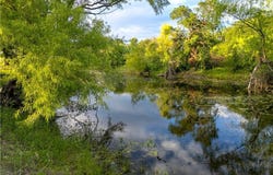 980 N League Ranch Road, Axtell, TX 76705