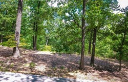 Lots 10 & 11 Fawn Court, Osage Beach, MO 65065