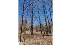 VL Wilamont Circle, Mancelona, MI 49659