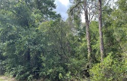 1414 E Tradewind Drive, Hernando, FL 34442
