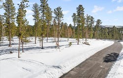 Lot 8 Block 4 Other, Lead, SD 57754