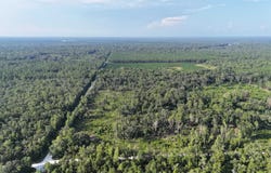Vacant SE Gordon Hurst Road, Branford, FL 32008