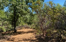 1636-1663 Nickerson Lane, Murphys, CA 95247