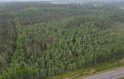 Tbd Moorhead Road, Twin Lakes Twp, MN 55720