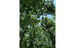 55 County Road 163, Carrollton, MS 38917