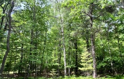 WHITE PINE LOOP lot: 32, Eagle River, WI 54521