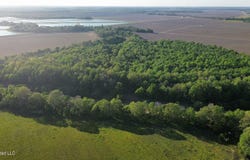 County Road 523, Schlater, MS 38952