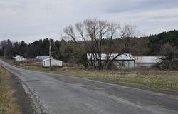 290 Griggs, Springfield Center, NY 13468