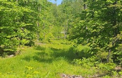 18b Isaac Stevens Road, Bridgton, ME 04009