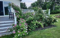 3900 Jersey Street, Panton, VT 05491