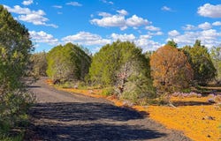 8026 Colt Ln. Lot 4, Show Low, AZ 85901