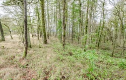 2468 MORROW CT, Salem, OR 97304