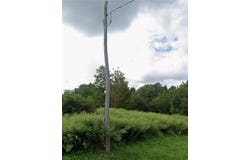 6449 Co Rd 21, Naples, NY 14512