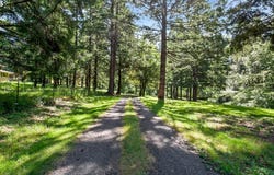 19609 SE WOODED HILLS DR, Damascus, OR 97089