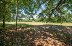 000 Griffin St, Bainbridge, GA 39817