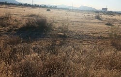 1150 S Thunderpass Avenue, Pahrump, NV 89048