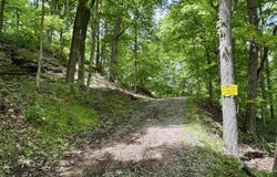 off SR 66, Grandview, IN 47615