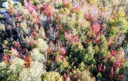 Rauhala Road, Atlantic Mine, MI 49905