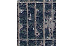 GUY AVENUE, INTERLACHEN, FL 32148