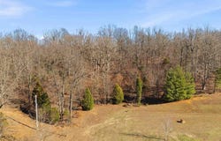6346 Little Hickory Road, Philpot, KY 42366