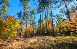 M13 L55 Holman Road, Peru, ME 04290
