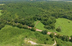 11661 Gamm Road, Belcher, LA 71004