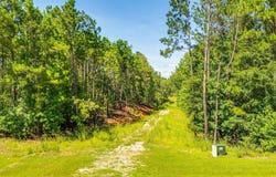 977 Retreat Way, Ridgeway, SC 29130