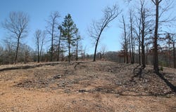 County Road 263, Iuka, MS 38852