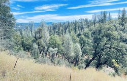 001 Oak Run Road, Oak Run, CA 96069