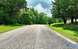 1454 N Pleasant View Road, Falkville, AL 35622