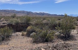 Pinto, CA 92239