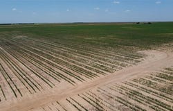 359 Acres CR 164, No City, TX 79521