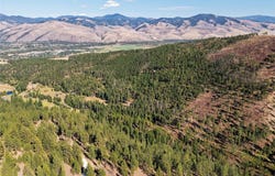 14605 Mormon Creek Road, Lolo, MT 59847